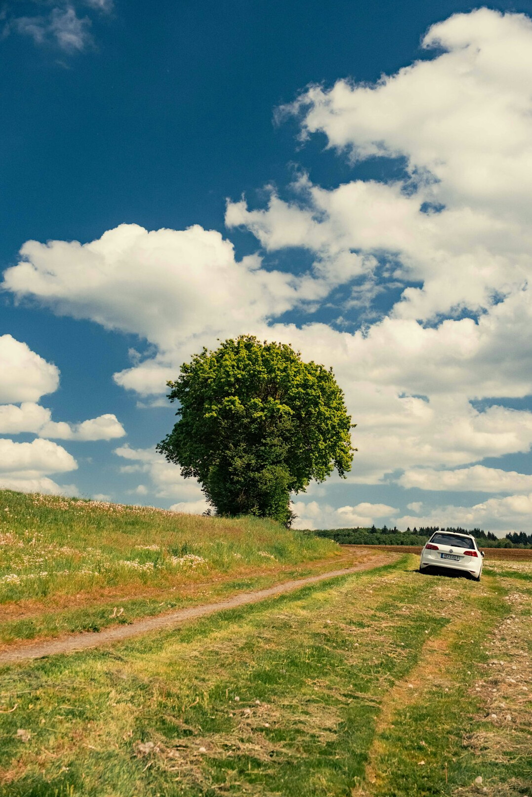 electric car on country road