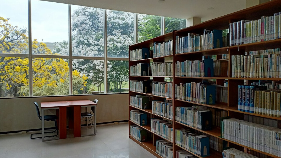 Quiet university library with tall bookshelves